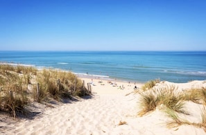 Ein sandiger Strand mit Dünen und blauem Himmel.