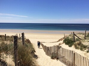 Vlak bij het strand