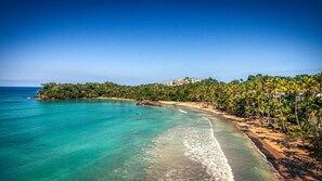 A coastal view with clear turquoise waters, a sandy beach, and a line of palm trees.