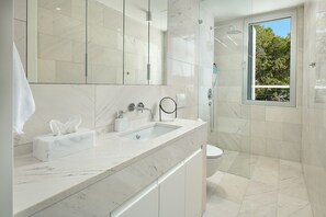 Shower, hair dryer, towels