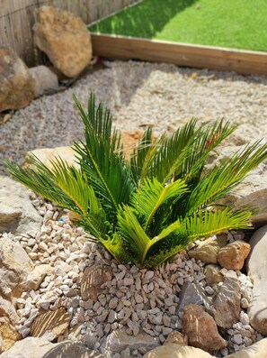 Terrein van de accommodatie