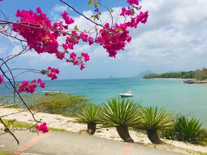 Plage à proximité, chaises longues