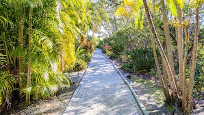 Un sendero serpentea por un jardín tropical con follaje denso y palmeras.