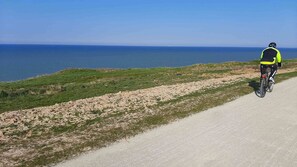 Nära stranden