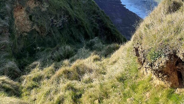 Paesaggio costiero con vista aperta sul mare, scogliere erbose e un litorale roccioso.