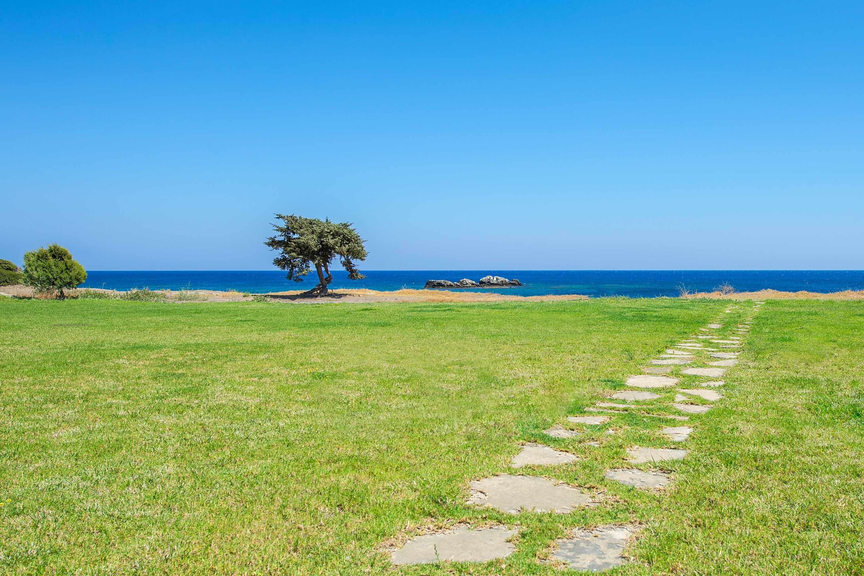 A grassy field with a stone path leading to a tree by the sea.