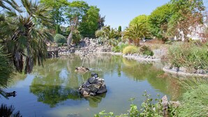 Ein Teich mit einer Ente, umgeben von Steinen und verschiedenen Pflanzen.