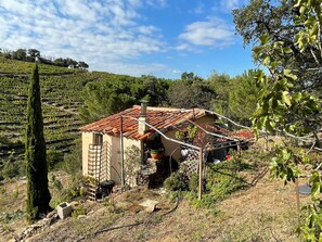 Property grounds - Charm between sea and mountains (Laroque-des-Albères)
