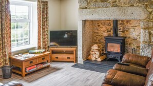 Fernseher, Kamin