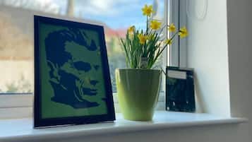 House | View from room