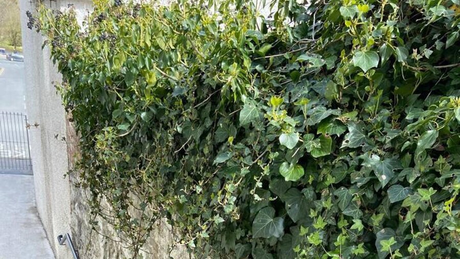 Town House in Ideal Location, Central Enniskillen