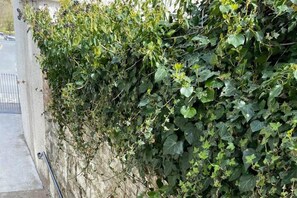 Exterior detail - Town House in Ideal Location, Central Enniskillen (Enniskillen)