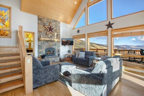 TV, fireplace, video games, DVD player