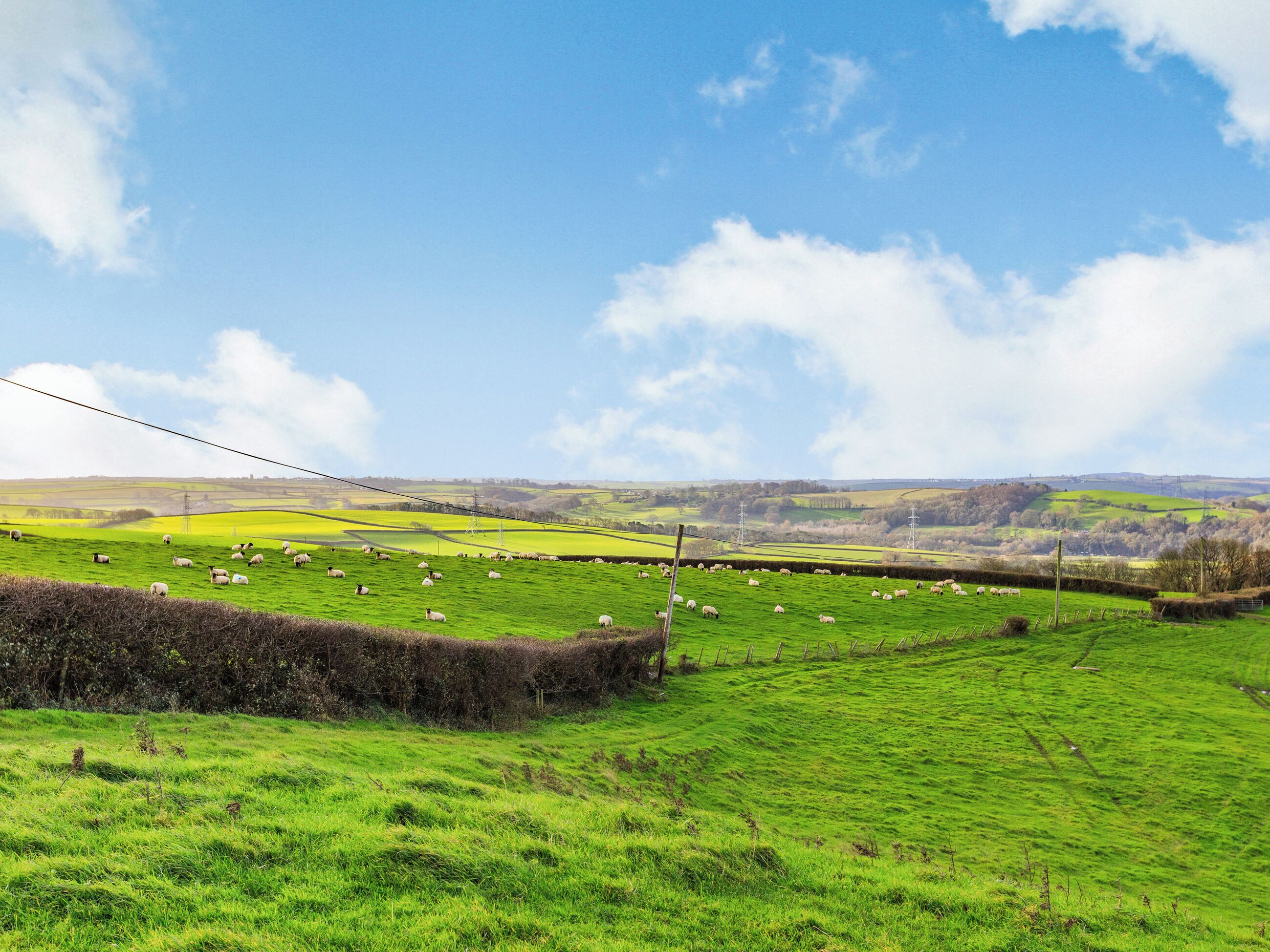 A rural landscape with green fields and a clear sky.
