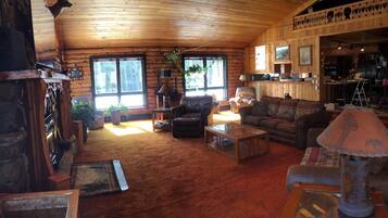 TV connectée, cheminée, lecteur de DVD