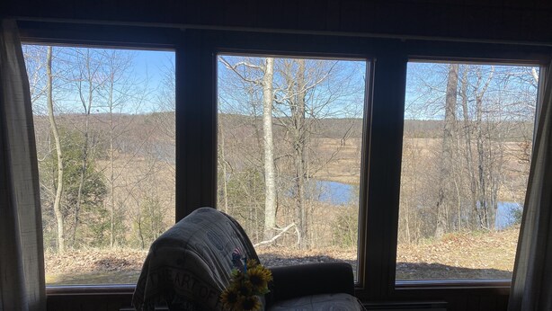 A room with three large windows offering a view of a lake and trees. A chair with a blanket and a vase of sunflowers are visible.