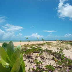 On the beach, white sand, sun loungers, beach towels