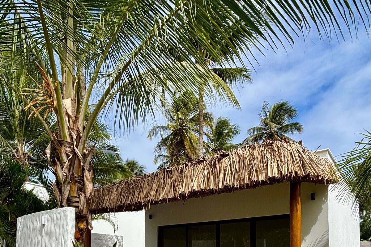 A modern house with a thatched roof, a swimming pool, and lush greenery.