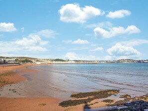 Fishing - Apartment 3 - UK35699 (Paignton)