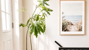 Una escalera con barandilla negra, una planta en maceta y un cuadro en la pared.