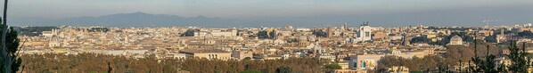A panoramic view of a cityscape with historical architecture, including domed buildings and a prominent church.