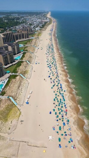 Plage, chaises longues