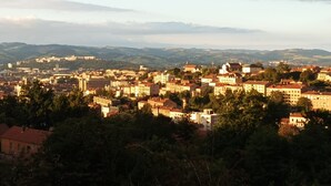 A panoramic view of a city with historical architecture, surrounded by hills and greenery. - Studio Welcome to Keylia (Saint-Étienne)