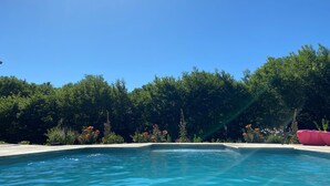 En klarblå himmel över en swimmingpool omgiven av frodig grönska.