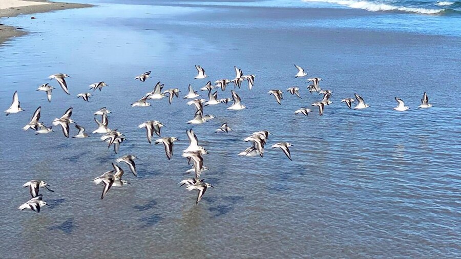 Bourne's Ocean Acres Ogunquit