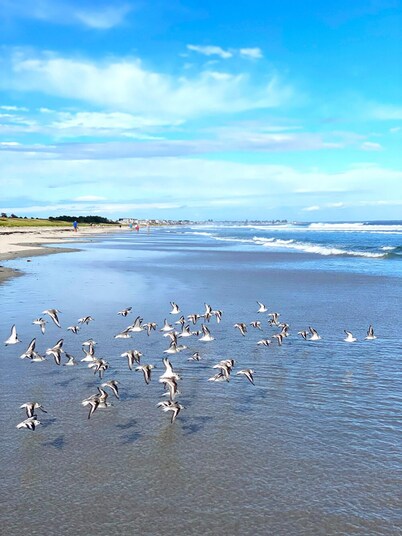 伯恩的海洋酒店奥冈奎特