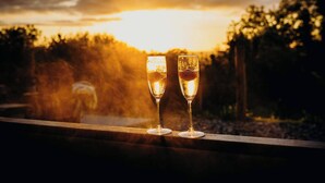 Food and drink - Phoebe's Folly-UK36581 (Milton Abbot, near Tavistock)