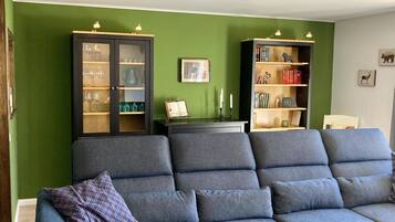 TV, fireplace, DVD player, books