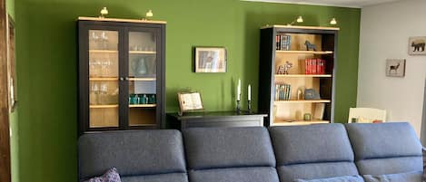 TV, fireplace, DVD player, books