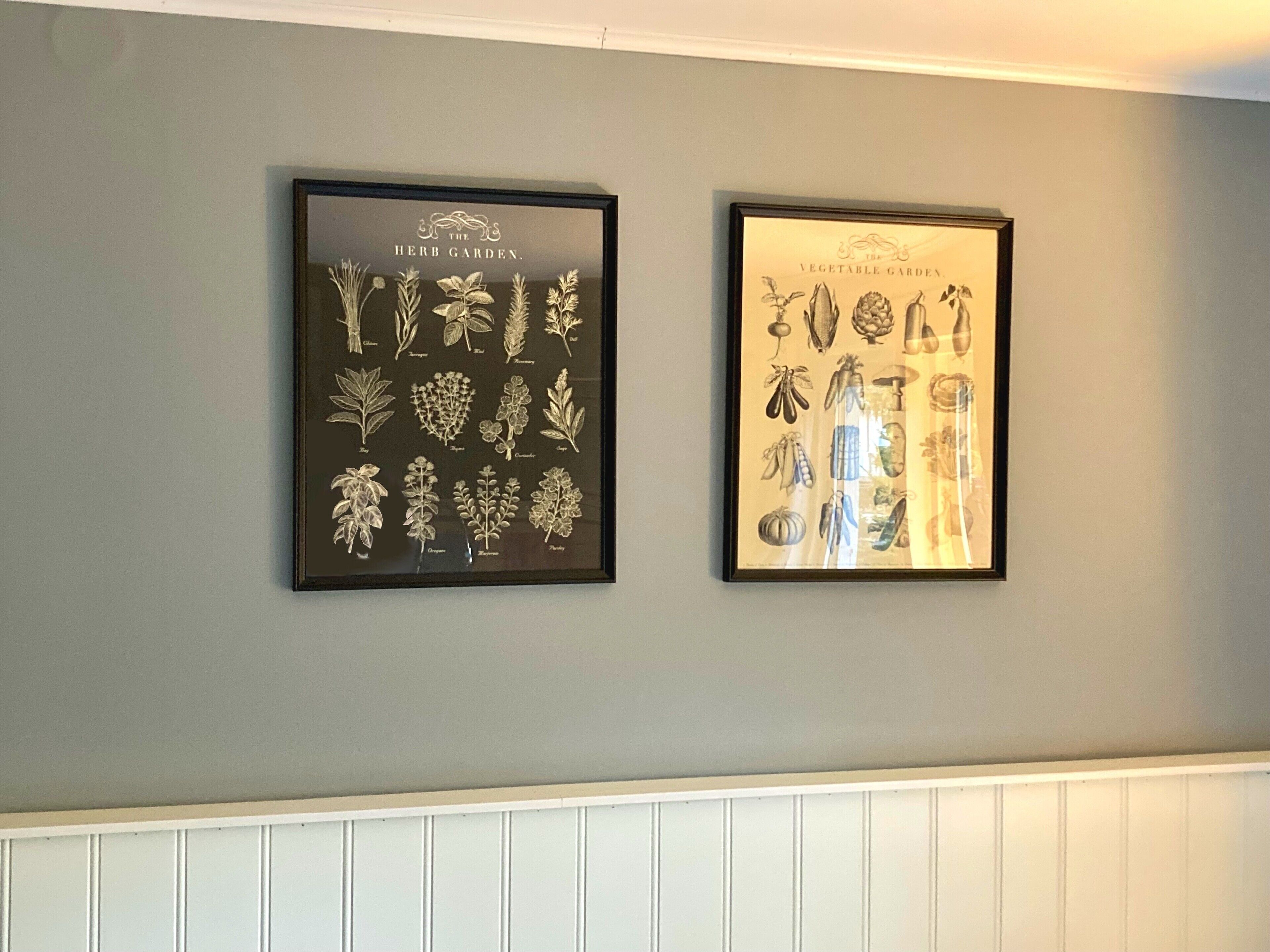 Two framed botanical illustrations on a wall.