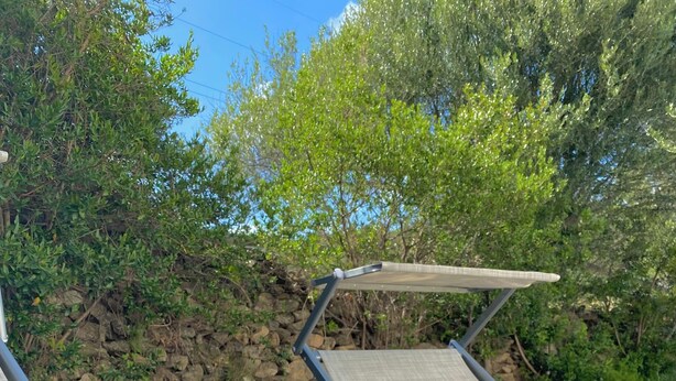 A sunbed with a book titled 'Handbook' and a magazine on it, set against a backdrop of greenery and a stone wall. - Vacation Apartment Porta Smeralda 2. Apartment with garden and private parking. (Sardegna)