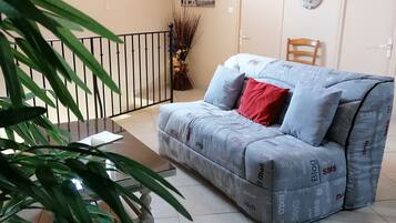Télévision, lecteur de DVD, livres