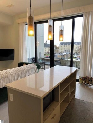 Interior - Asylum 58 Condo @ Grand Traverse Commons (Traverse City)