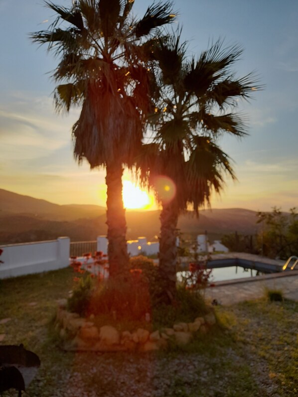 Property grounds - Las Palmeras, romantic vacation home with private pool in a secluded location (Algodonales)
