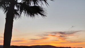 A sunset over a hilly landscape with a palm tree in the foreground.