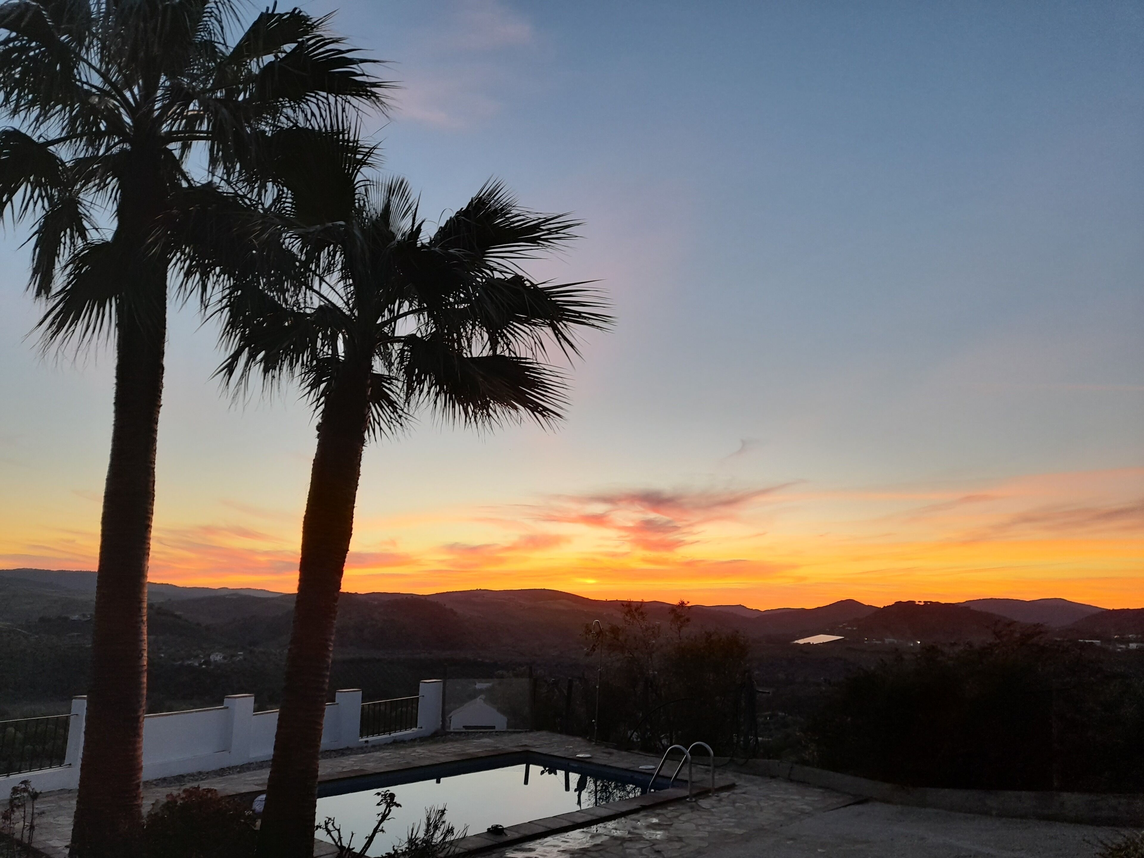 A pool area with a sunset view, palm trees, and distant mountains.