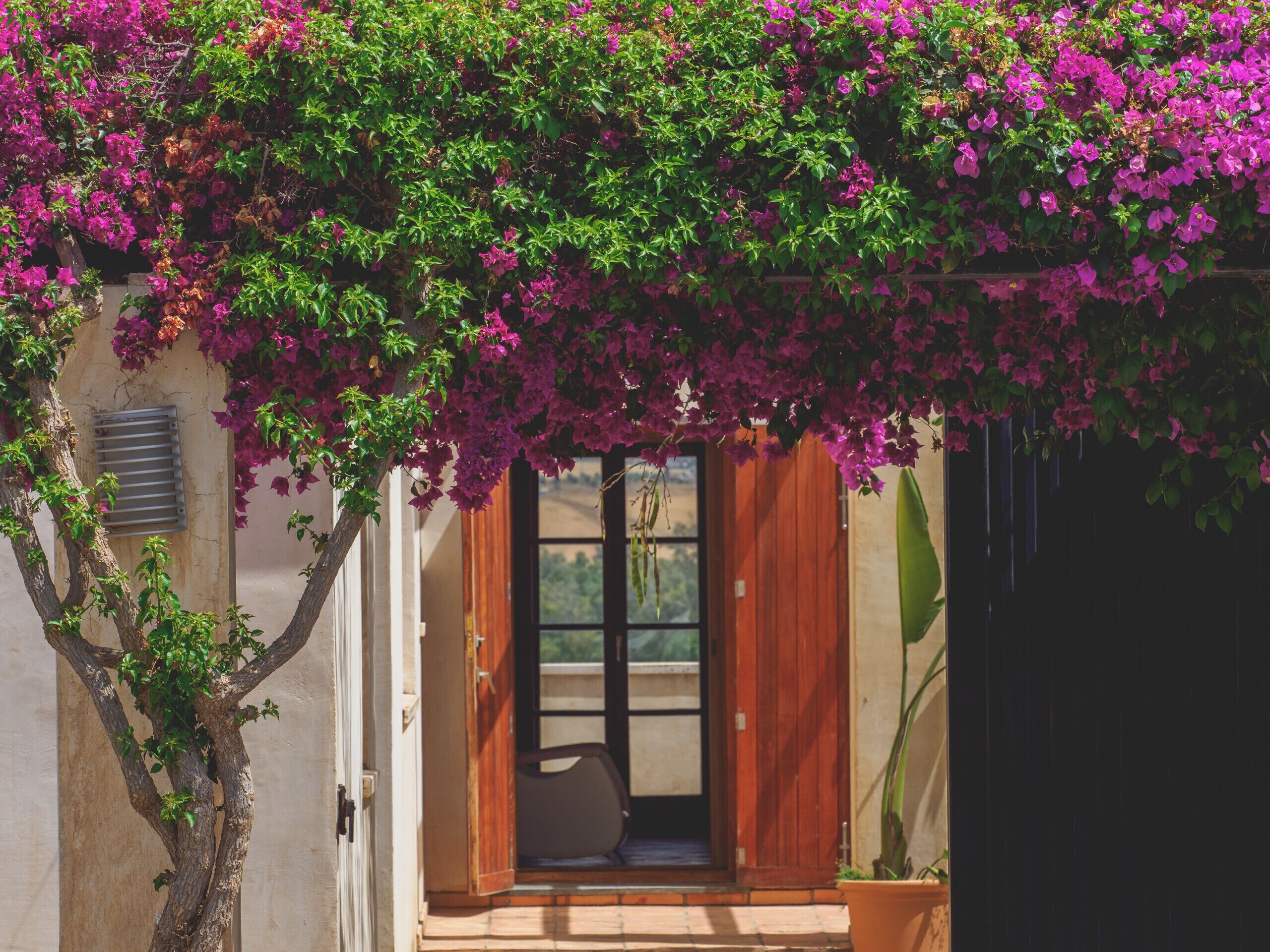 Details aan de buitenkant