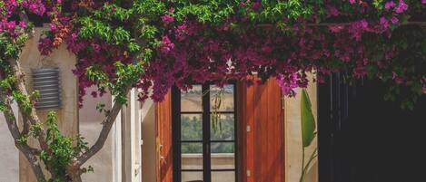 Details aan de buitenkant