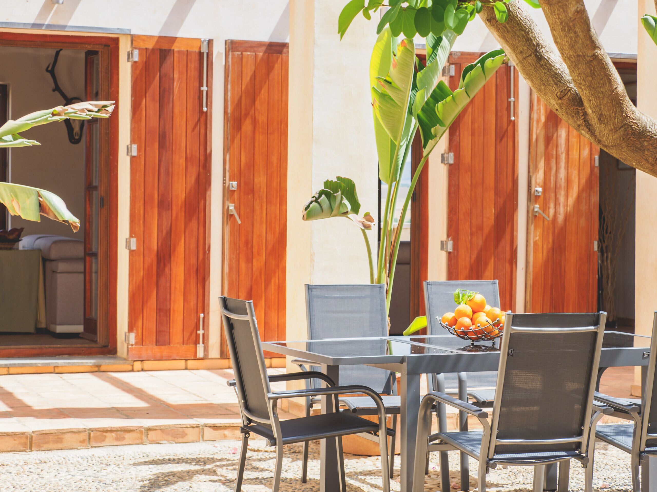 An outdoor dining area with a table and chairs, a potted plant, and wooden doors in the background.