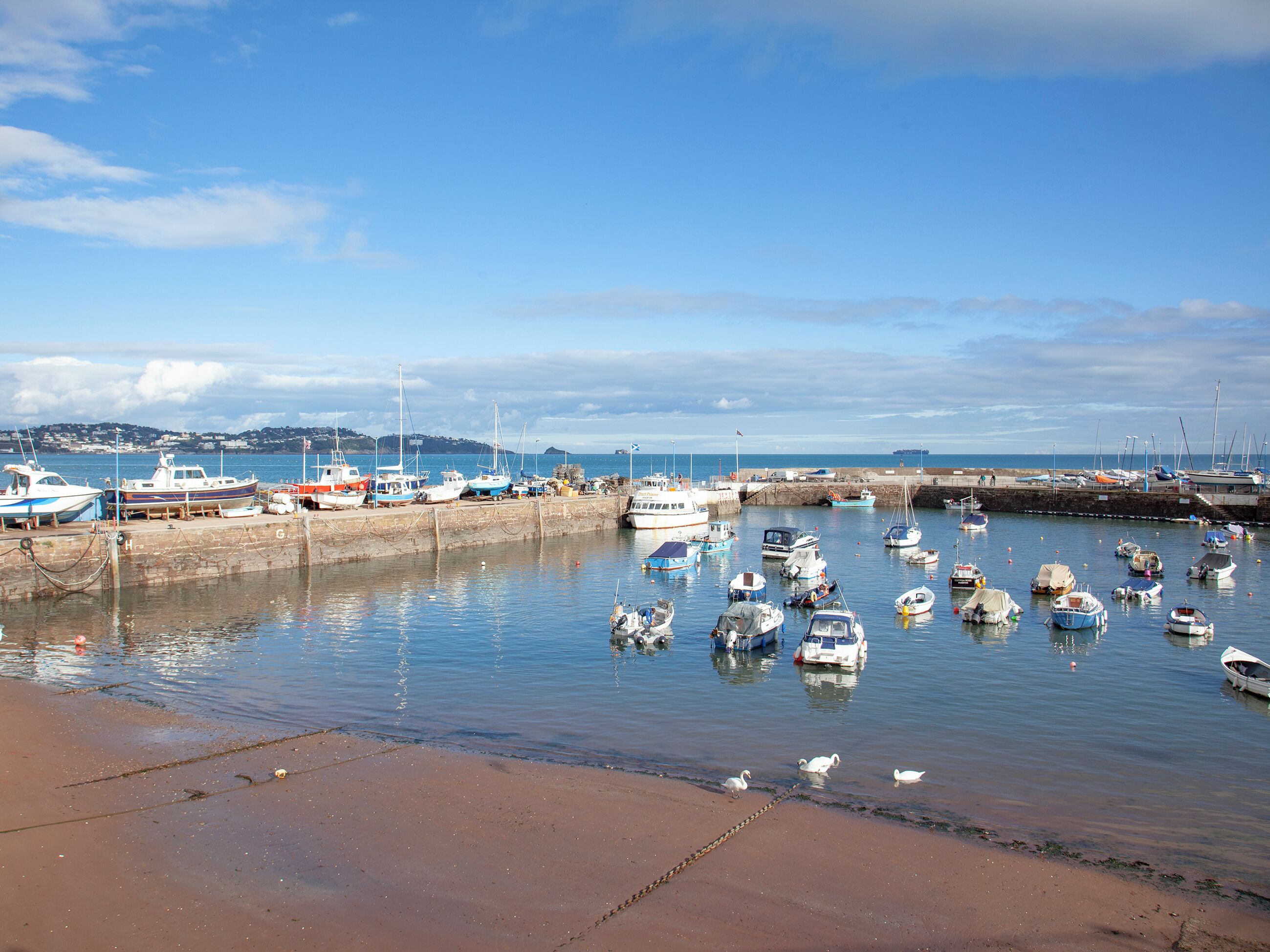 A marina with various boats docked, a sandy beach, and a clear sky.