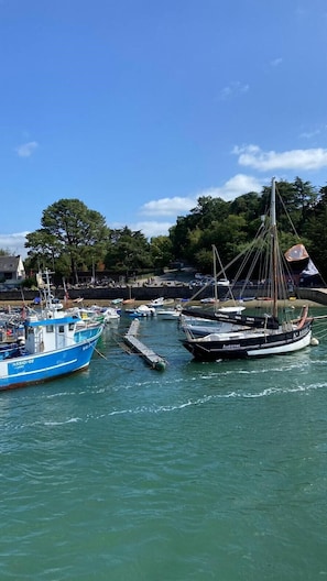 A marina with several boats docked, a clear sky, and trees in the background.