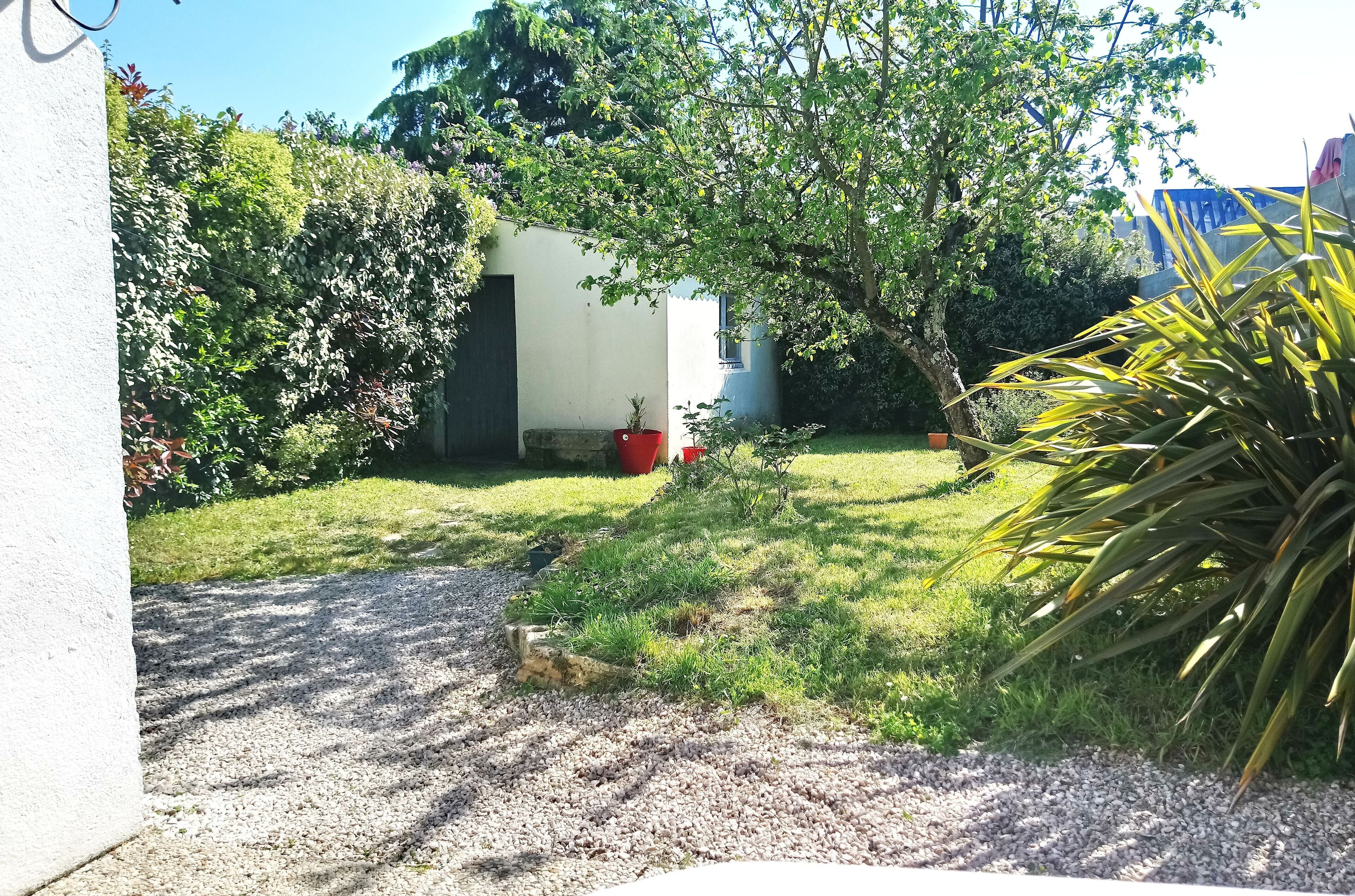A garden with a small shed, a potted plant, and a gravel path.