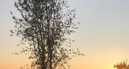 House 4 persons 150 m from the Golfe du Morbihan