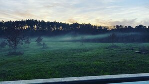 En vy över ett gräsbevuxet fält med träd och en dimmig atmosfär.