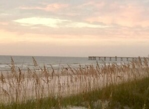 Beach - Vacay or Relocation Home | 3 min walk to beach (Neptune Beach)