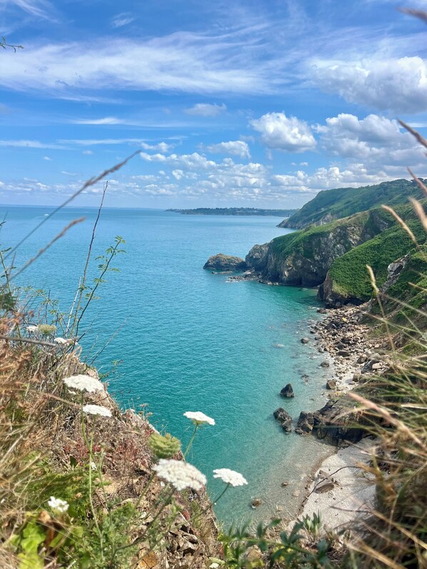 Plage, chaises longues